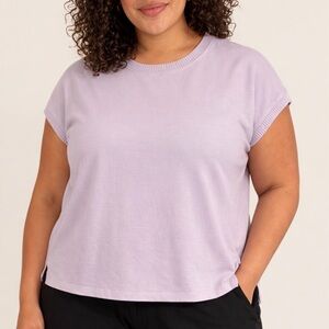 Lane Bryant Plus Size 22/24 Lavender Relaxed Jersey T-Shirt, Short Sleeve